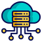 server (1)